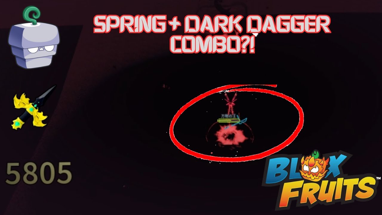 Spring Fruit Moves THE SPRING FRUIT Can Combo With The DARK DAGGER??! | (Blox Fruits ...