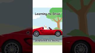Learning to drive (explained by ducks)