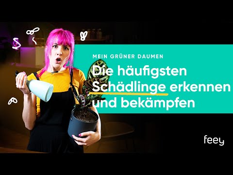 Video: Schädlinge des Südwestens: So behandeln Sie südwestliche Gartenschädlinge