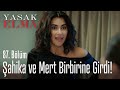 Şahika ve Mert birbirine girdi! - Yasak Elma 87. Bölüm