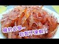 【蝦皮愛教學】磯釣必學~自製不凍蝦｜蝦皮愛釣魚