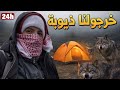 عشنا رعب الحقيقي مع ذئاب 24h في الغابة 