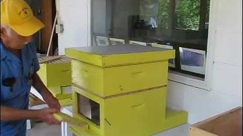 OJ Blount Top Bar Hive with Lime & Viewing Window - Video #5.avi