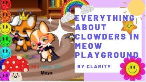 Everything About Clowders In Meow Playground