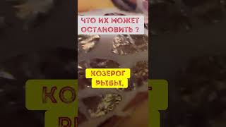 Что их может остановить #знакизодиака #song #lyrics #гороскоп #назавтра  #music #овен #рекомендации