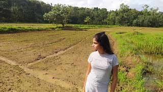 kerala style 7 vegitabels curry /Nikini village cooking