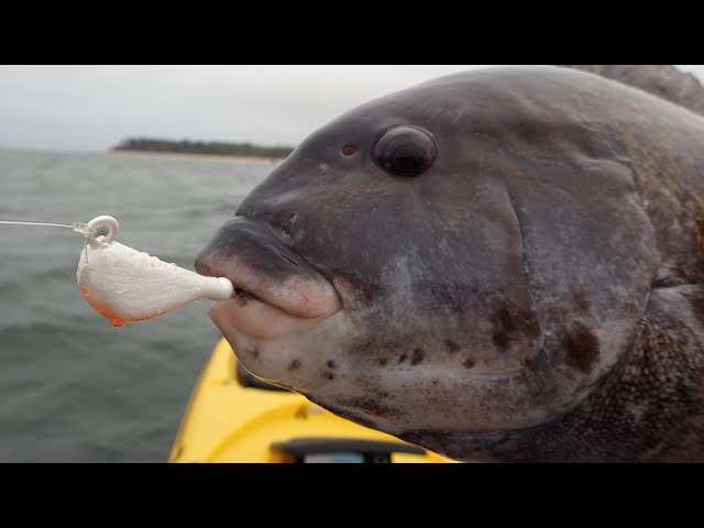 bottom sweeper jig mold