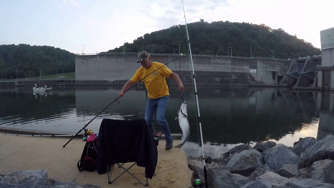 Melton Hill Stiper Fishing YouTube