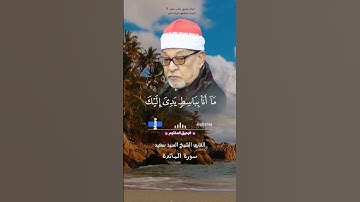 سورة المائدة الشيخ سيد سعيد
