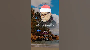 سورة المائدة الشيخ سيد سعيد 
