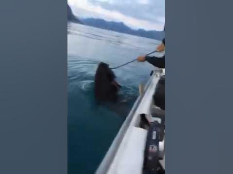 СХВАТКА В МОРЕ #fish #fishing #hunter #hunting #рыбалка - YouTube