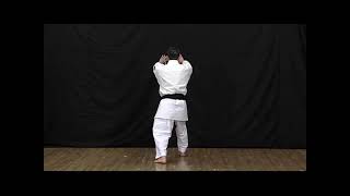 Kyokushin-Kan Weapon Kata - Tawada No Sai Dai 多和田のサイ大