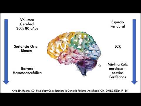 Vídeo: Anticolinérgicos Y Benzodiacepinas Sobre El Deterioro Cognitivo En Ancianos Con Enfermedad De Alzheimer: Un Estudio De Seguimiento De 1 Año