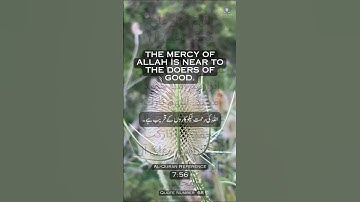 068 Quran Quotes In English Urdu Quran Kareem القرآن الكريم
