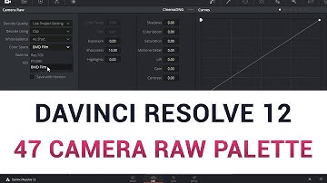 DaVinci Resolve 12 - 47 Camera RAW Palette