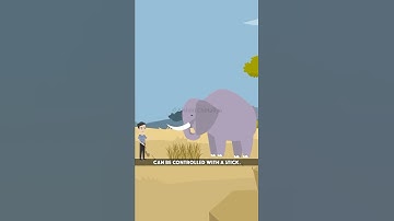 Why You Should Read The 48 Laws Of Power?