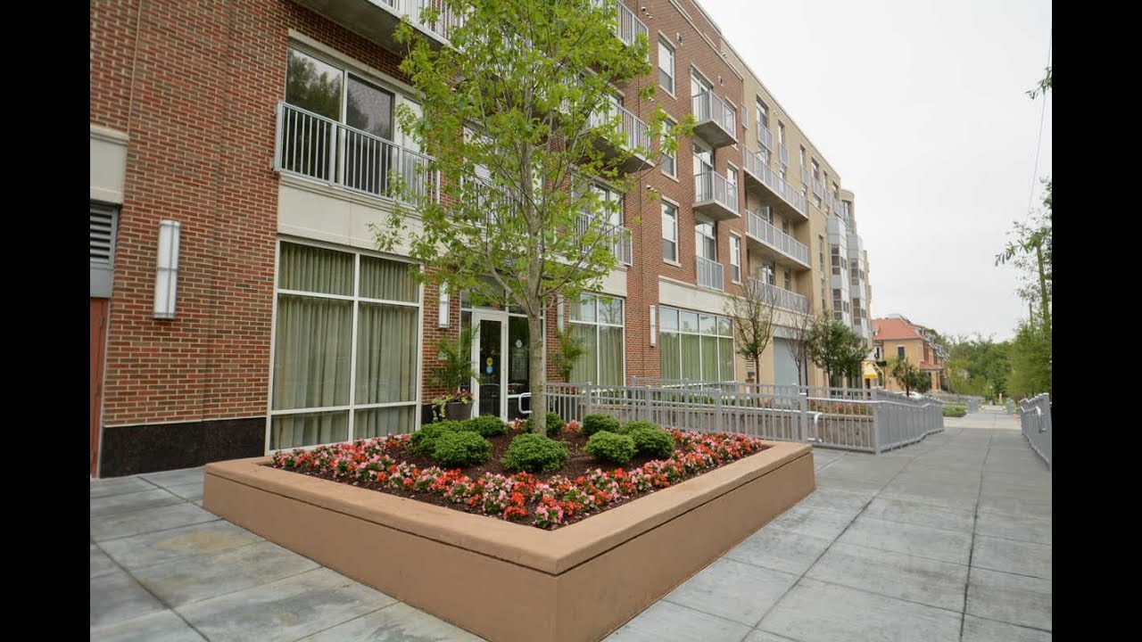 Property for rent 3401 Idaho Ave NW, Washington, DC 20016 YouTube