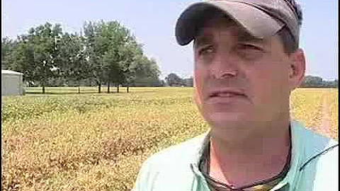 Louisiana Farm Bureau: Soybean Planting