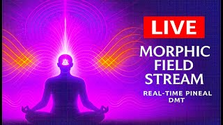 π΄ LIVE: Pineal DMT Activation β Full Music Morphic Transmission (164 BPM)