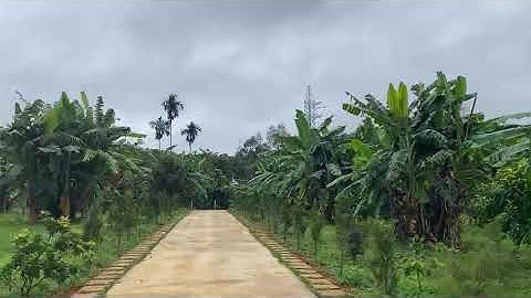 #8 Nhà vườn trái cây Bảo Lộc 6000m2 , 400m thổ cư, chỉ 8 tỷ. 0901971671 Anh Oanh Bảo Lộc.