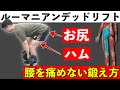 【ルーマニアンデッドリフト】腰を痛めずにお尻とハムストリングスを鍛えるフォーム【ダンベル】