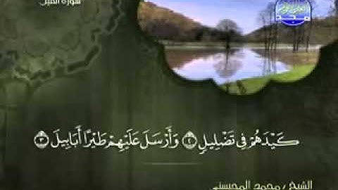 سورة الفيل الشيخ محمد المحيسني   YouTube