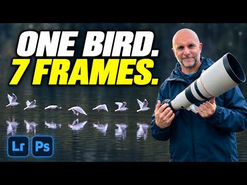 Creating a Bird in Flight Sequence in Photoshop (Zero AI)