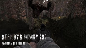 S.T.A.L.K.E.R Anomaly 1.5.1 - Limansk / Red forest