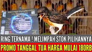 Download Lagu 🔴 MENYALA HARI INI STOKNYA LUBER ! MASIH DIJALUR PROMO BOSKUH 0838-7553-6945 MP3 Download Lagu 🔴 MENYALA HARI INI STOKNYA LUBER ! MASIH DIJALUR PROMO BOSKUH 0838-7553-6945 MP3