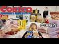 【コストコ購入品】食材編/冷凍保存2026年7月