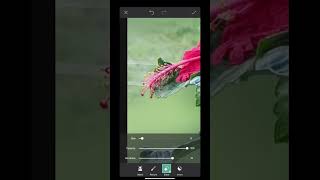 Flower Editing and Background Blurring In Phone | Colour Grading In Pics Art.