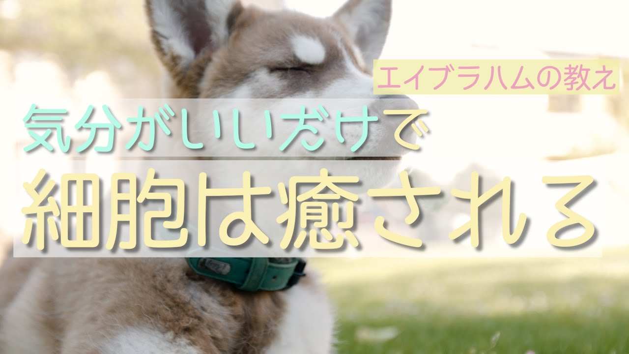 エイブラハムに聞いた細胞の癒し方