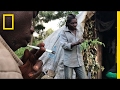 Risking Arrest Pygmies Deal Weed To Survive In The Congo National Geographic Risking Arrest Pygmies Deal Weed To Survive In The Congo National Geographic