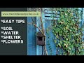 Easy low maintenance wildlife garden tips  for a beautiful wild garden