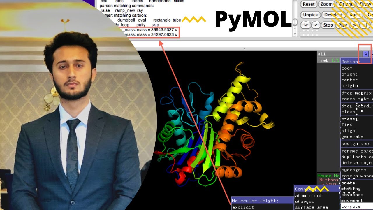 Use of PyMol | viualization by PyMol | coloring of protein by PayMol ...