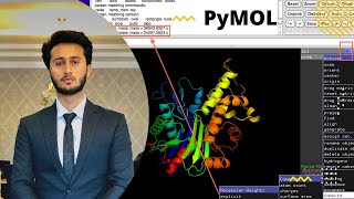 Use of PyMol | viualization by  PyMol | coloring of protein by PayMol