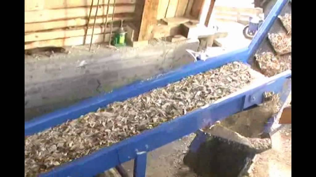 Rębak Skorpion 500 EB, detektor metali, podajnik skośny