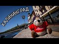 Маленький Путешественник Калининград #3 (travel blog)