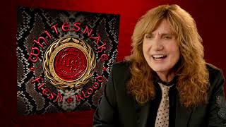 Whitesnake - Flesh &amp; Blood - Track by Track - Good To See You Again