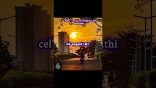 Damabusasoulque U0026 Ama Groot Man   Amaphupho S