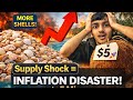 Inflation Kills Buying Power! | Island Economics Explained in 5 Minutes #Inflation #Economics #viral