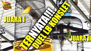 TERNYATA!!! DUEL Juara 1 dan 2, Pertarungan sengit dua lovebird konslet Nasional