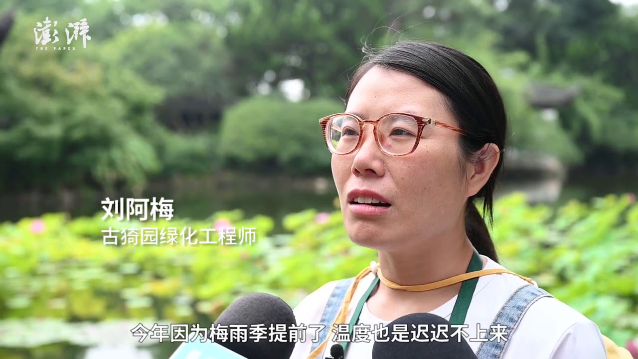 Guyi Garden in Shanghai holds lotus flower festival as summer comes