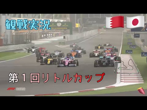 [F1 2020]リトルカップ　観戦解説