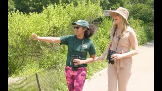 Where To See Hundreds Of Bird Species In Nyc New York Live Tv