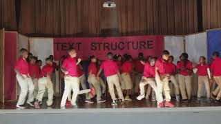 CSE Text Structure Baby