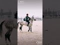 توك توك جنوني 