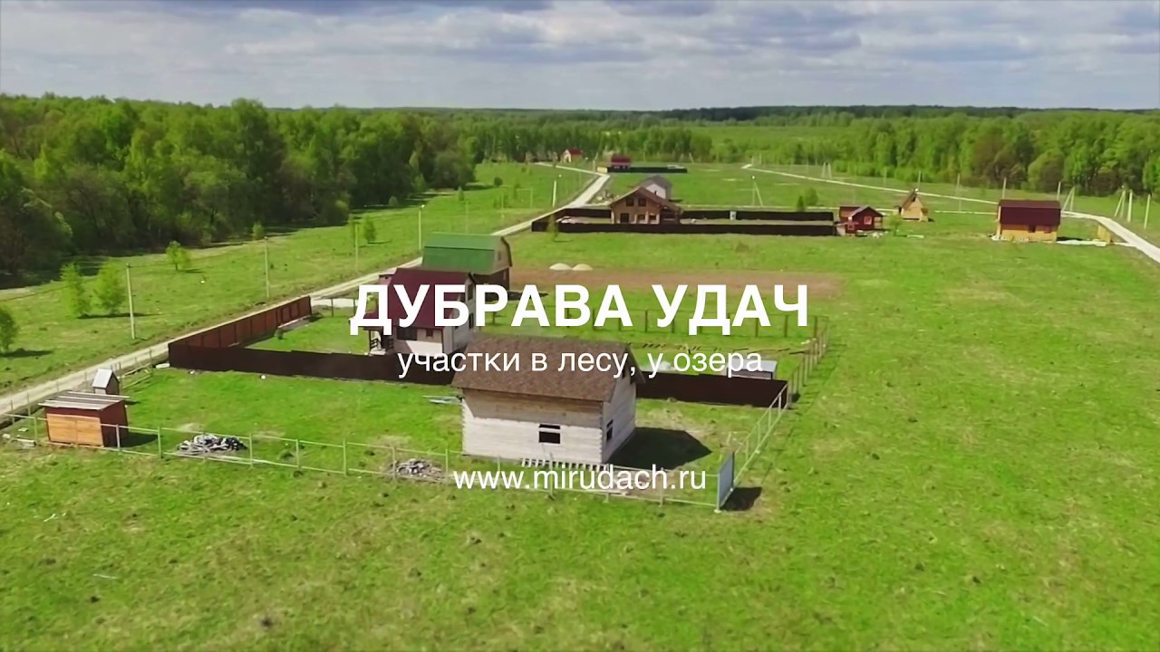 Дубрава на волге