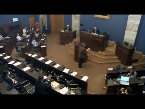 ანა ნაცვლიშვილმა \"ოცნებას\" და მოსამართლეობის კანდიდატებს  ტრიბუნაზე სარკე დაუდგა - კამათი კომიტეტში