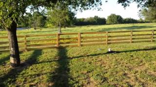 This is a Post and Rail Fence that we just built in Coweta, Specialized spacing to help with keeping the dogs in... The spacing goes 